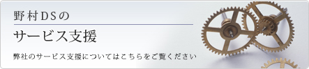 野村DSのサービス支援